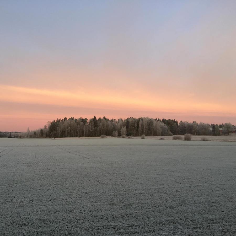 Pöytyän Mustanojan maisema 11.1.2020