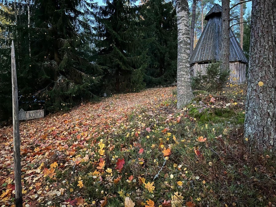 kota syksyisessä maisemassa